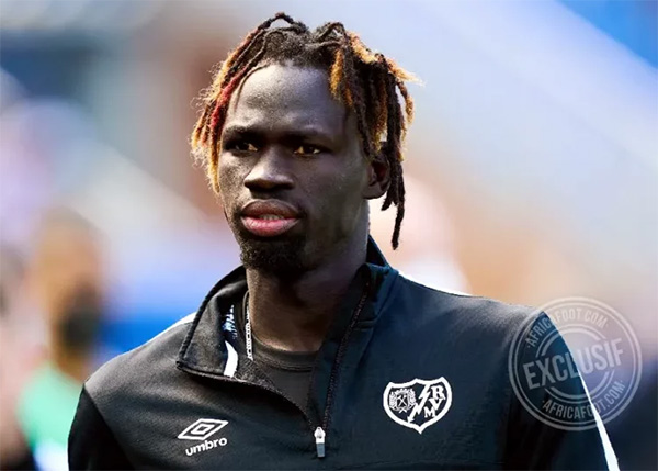 Tanière