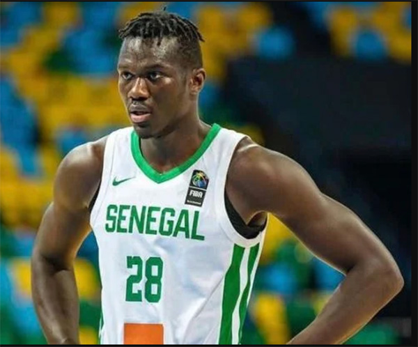 Afrobasket – La liste des Lions attendue la semaine prochaine : Retour de Ibrahima Faye et Khalifa Diop, Ousmane Ndiaye incertain