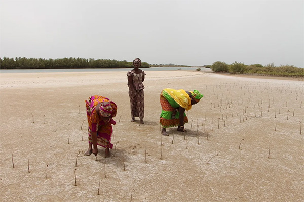 Sénégal 2050: le méga-risque «climat»