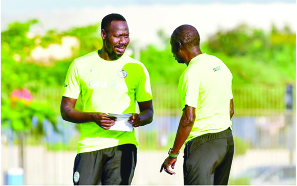 Foot – Sélectionneur des Lions : La Fsf titularise Pape Thiaw