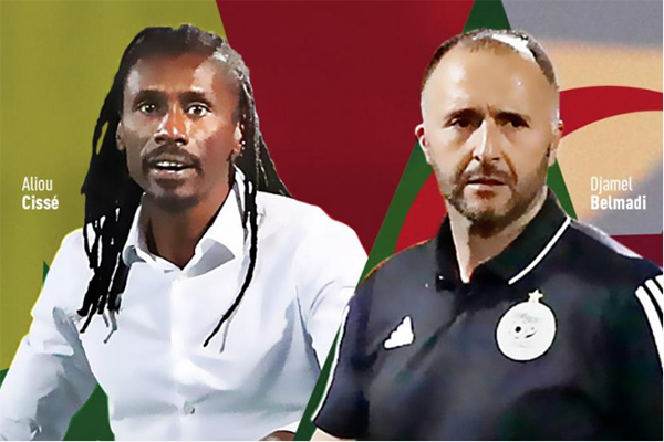 Projecteur – Amir Abdou, Belmadi, Aliou Cissé… Ces sélectionneurs africains actuellement sur le marché