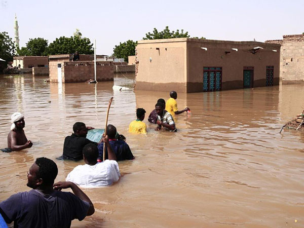 Le Fouta sous les eaux : une catastrophe passée sous silence