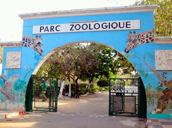 Parc zoologique de Hann : Entre dénégation ministérielle et réalité alarmante