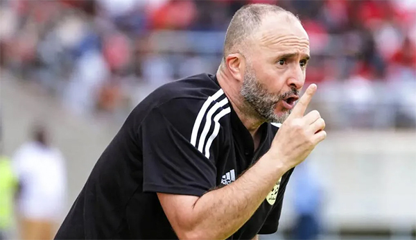 Nouvelle destination : Belmadi pourrait vite rebondir au Qatar