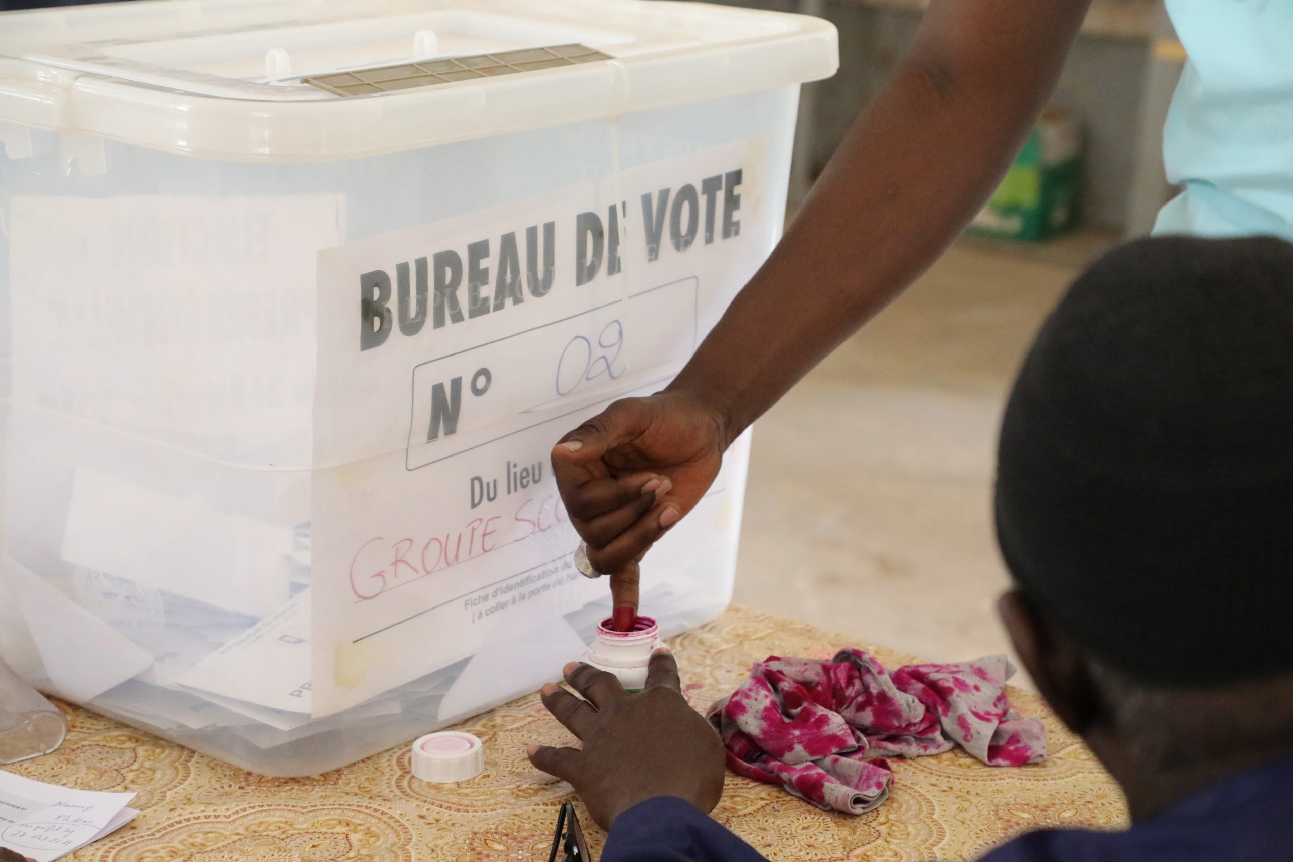 20 candidats choisis par le Conseil constitutionnel : Forgeons la victoire du camp patriotique dans les urnes le 25 février 2024