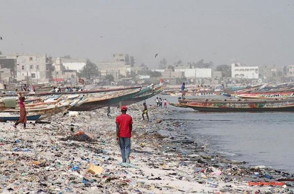 Cop28 : Si la baie de Hann pouvait s’y charrier