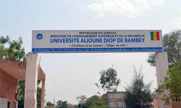 Cames 2022 : Université Alioune Diop de Bambey (Uadb) : 100% de réussite