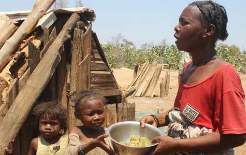 Crises alimentaire et énergétique mondiales : quelles solutions de sortie pour l’Afrique ?