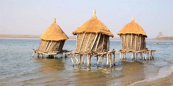 Valorisation de la filière apicole : Le modèle du delta du Saloum appelé à essaimer dans le reste du Sénégal