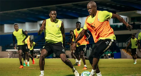 Galop des Lions : Intensité maximale à deux jours du match