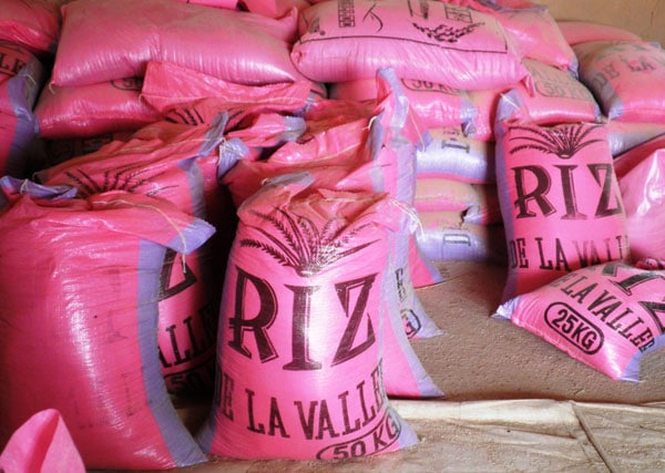 Levée de la taxation sur le riz importé : le pari de l’autosuffisance en riz en berne