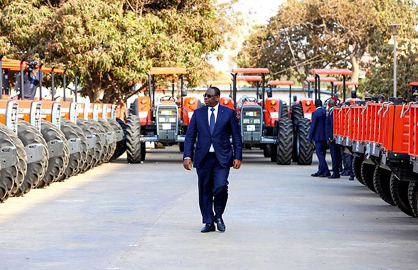 Inefficacité et inefficience des politiques de subvention à la production agricole sénégalaise : Où faudra-t-il chercher la racine du mal ?