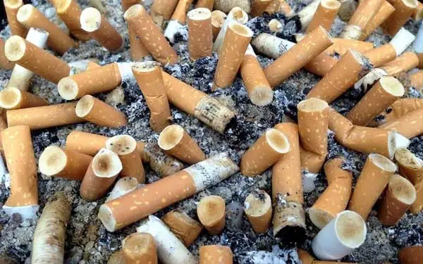 Mbour – Lutte contre le tabagisme au Sénégal : Vers une révision de la loi de 2014 pour contrer le «tabac vaginal» et les nouveaux produits
