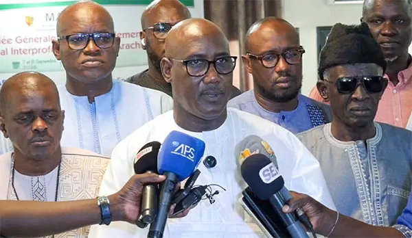 Comité national interprofessionnel de l’arachide : Modou Fall annonce une restructuration en profondeur de la chaîne de valeur