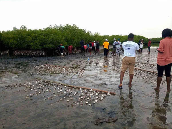 Mbour – Création d’aires marines protégées offshores profondes au Sénégal : La recherche scientifique et la concertation au cœur du processus de classement